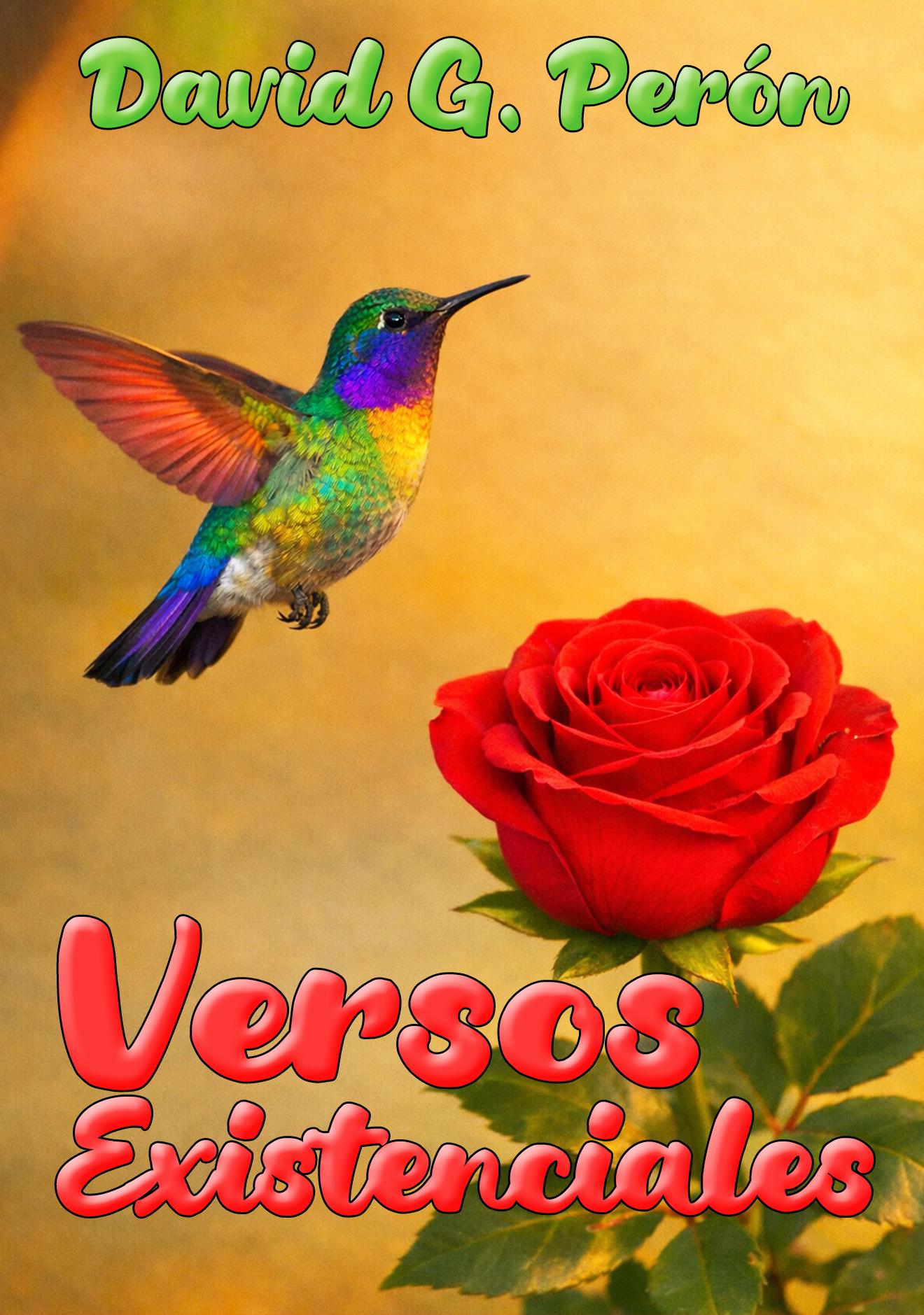 Versos Existenciales Cover