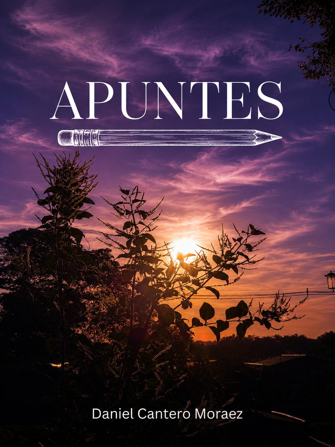 Apuntes  Cover