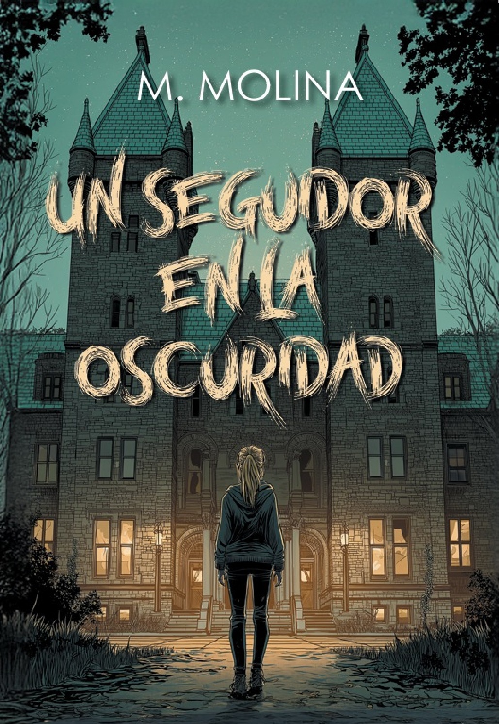 Un Seguidor En La Oscuridad: Los mejores secretos están a la vista. Cover