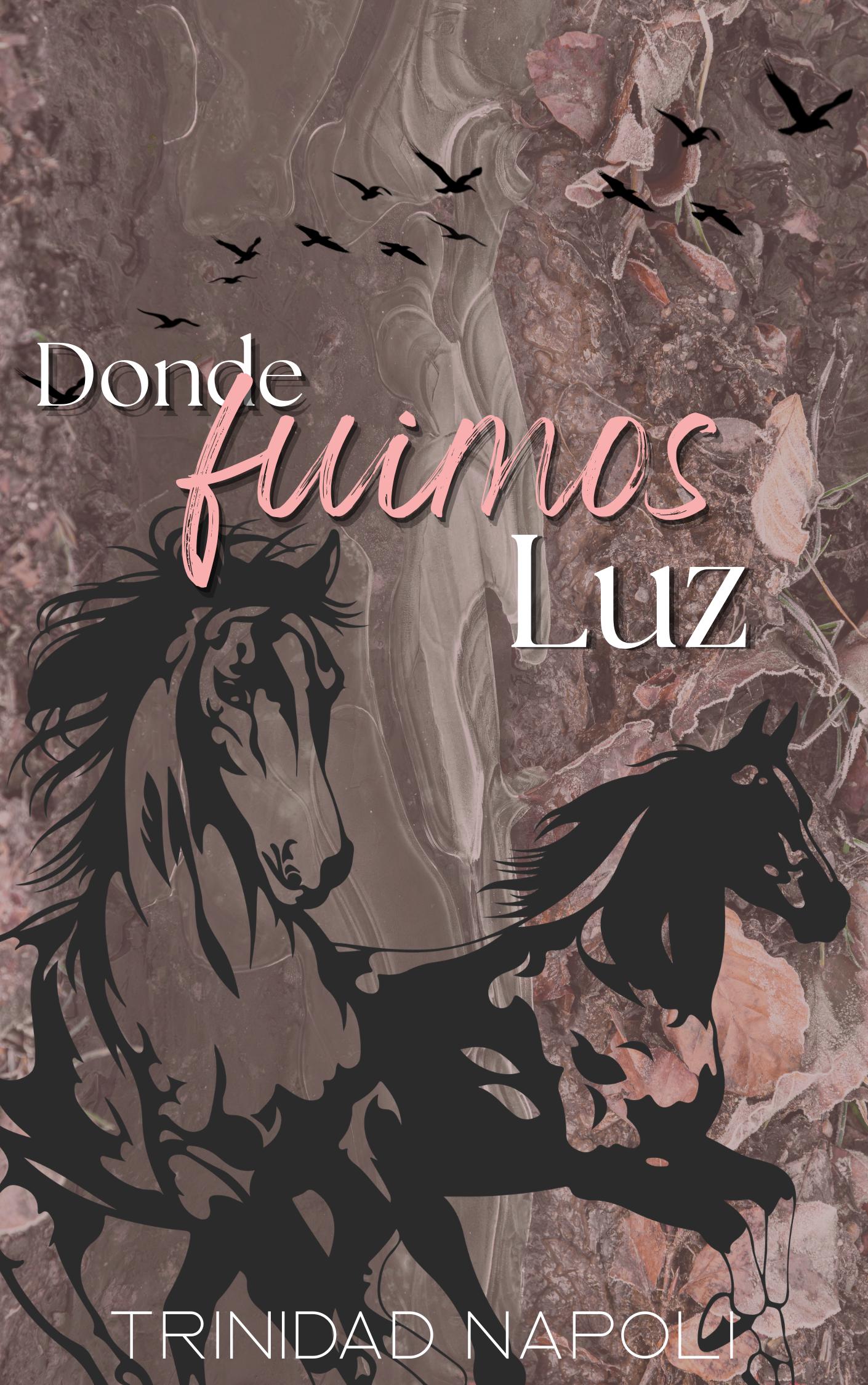 Donde fuimos LUZ Cover